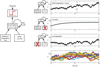 Clarifying the nature of stochastic fluctuations and accumulation processes in spontaneous movements